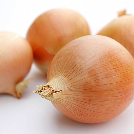 Лук